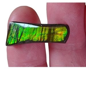 Genuine Rare Color Change Alberta Canada Free Form Ammolite ✨️